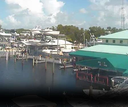 webcam key largo|Pilot House Marina Webcam in Key Largo